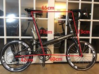 bike friday rohloff